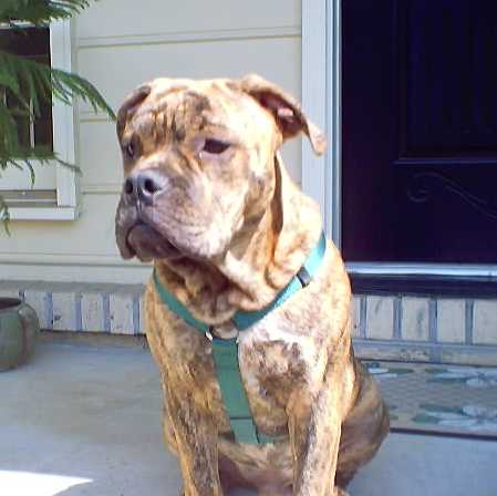 frontshot1.jpg