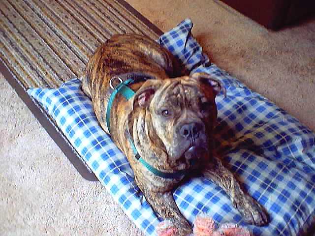 pillow1.jpg