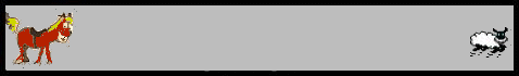 stallionpage.gif